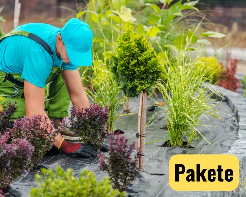 Pauschalen für Sommerdienst